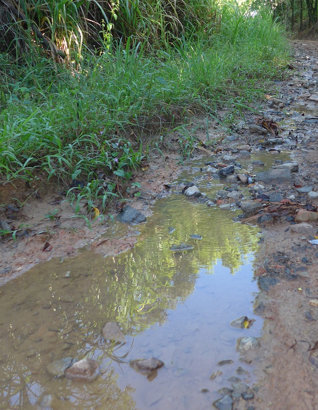 wasser